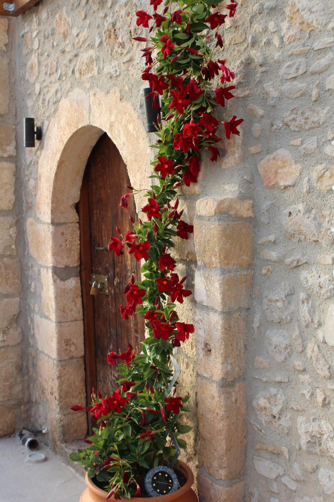 فيلا Trouli Rokka House كيساموس المظهر الخارجي الصورة